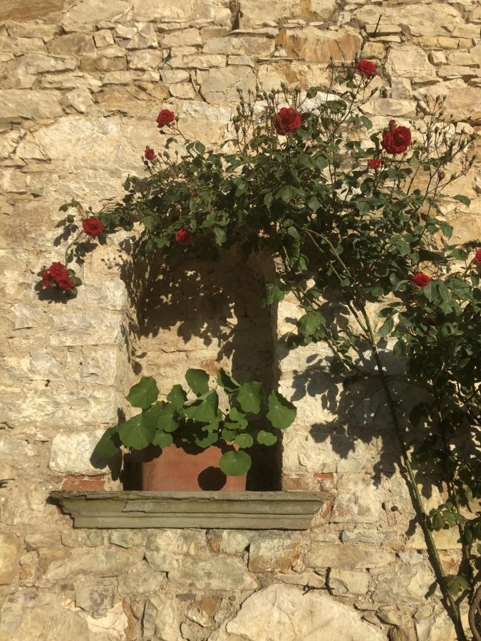 Mea Casa Toscana カステッリーナ・イン・キアンティ シエナ エクステリア 写真