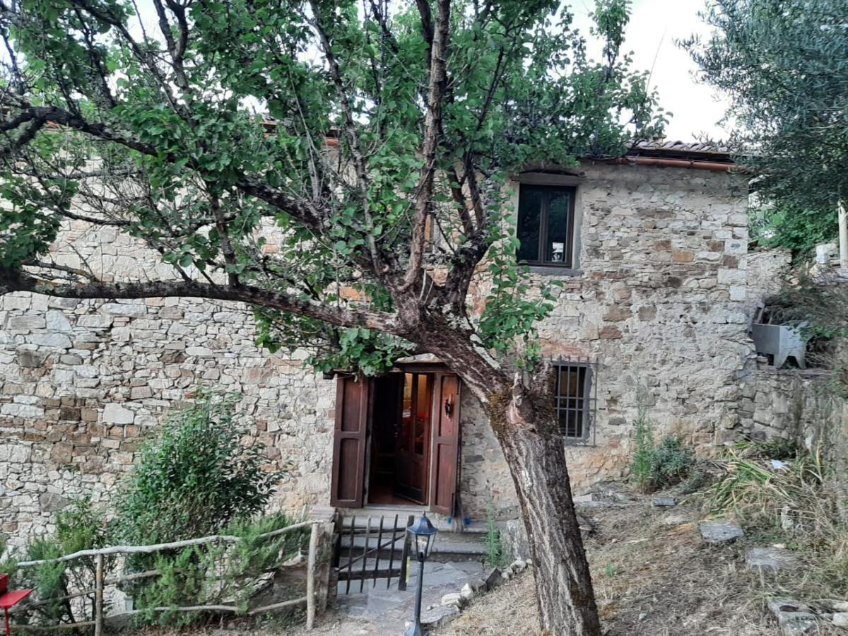 Mea Casa Toscana カステッリーナ・イン・キアンティ シエナ エクステリア 写真