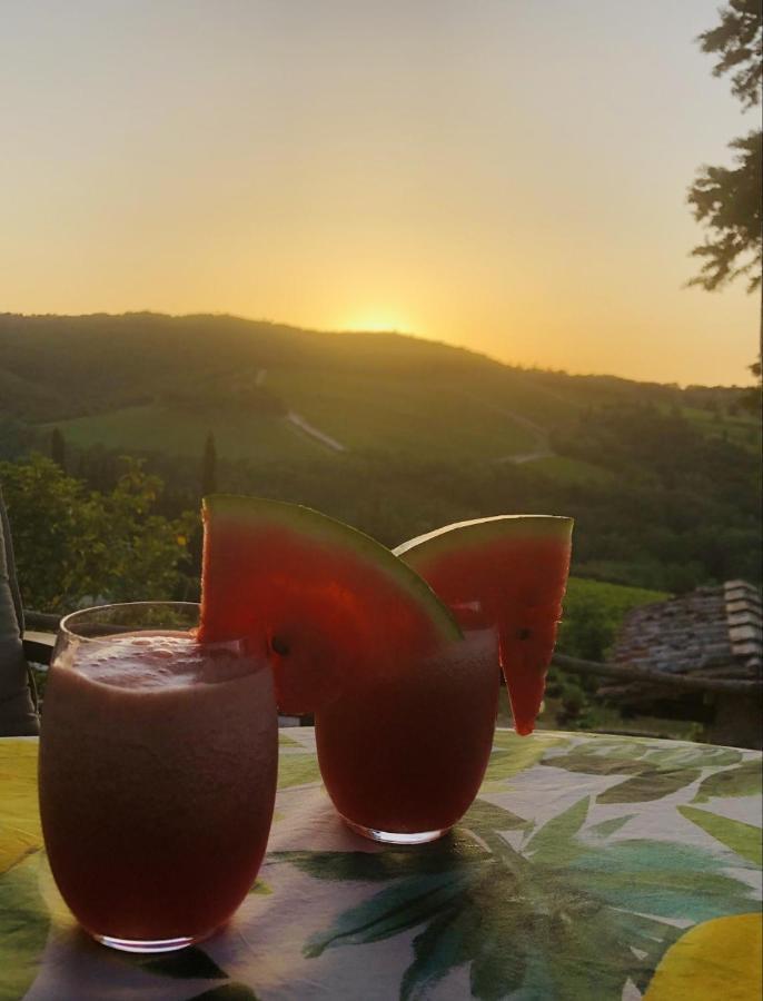 Mea Casa Toscana カステッリーナ・イン・キアンティ シエナ エクステリア 写真