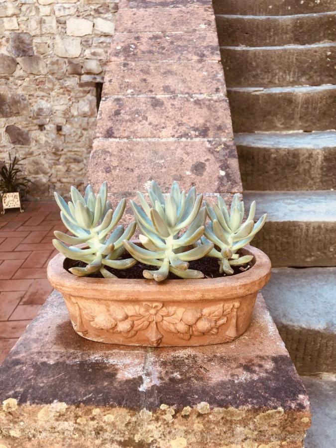 Mea Casa Toscana カステッリーナ・イン・キアンティ シエナ エクステリア 写真